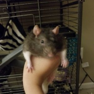 Meet your Posher, Crystal